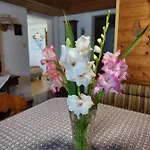 Ferienwohnung Zangl Am Seggauberg - Suedsteiermark