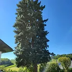 Ferienwohnung Zangl Am Seggauberg - Suedsteiermark Apartment *