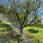 Ferienwohnung Zangl Am Seggauberg - Suedsteiermark * Leibnitz