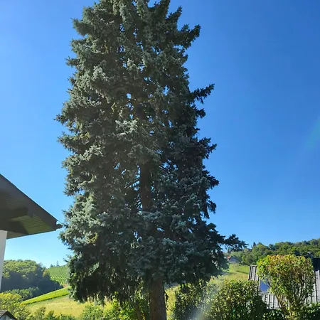 Ferienwohnung Zangl Am Seggauberg - Suedsteiermark Apartmán *