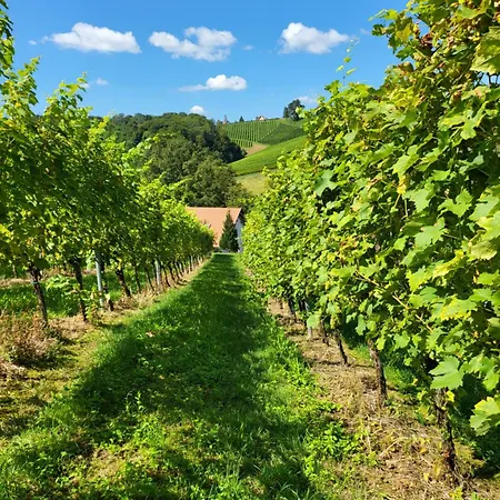 Apartment Ferienwohnung Zangl Am Seggauberg - Suedsteiermark *