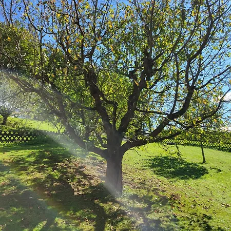 Ferienwohnung Zangl Am Seggauberg - Suedsteiermark * Leibnitz