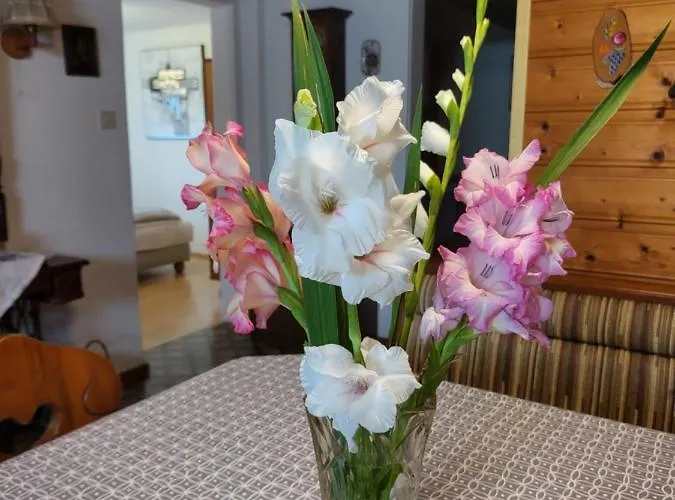 Ferienwohnung Zangl Am Seggauberg - Suedsteiermark