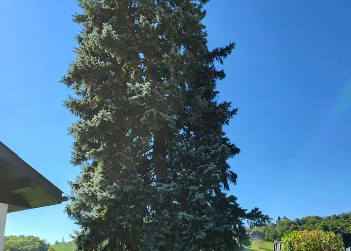 Ferienwohnung Zangl Am Seggauberg - Suedsteiermark Apartment *