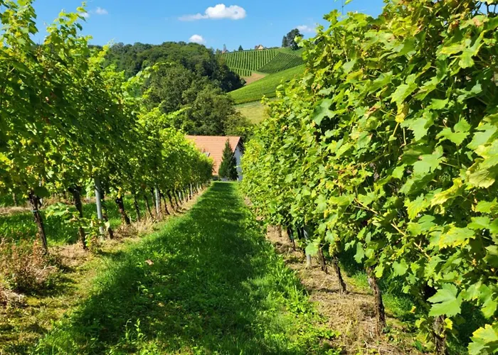 Appartement Ferienwohnung Zangl Am Seggauberg - Suedsteiermark *