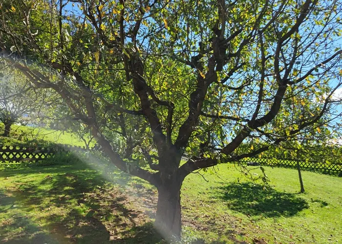 Ferienwohnung Zangl Am Seggauberg - Suedsteiermark * Leibnitz